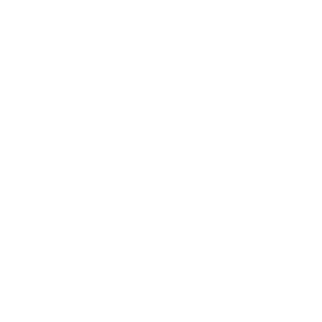 Energy Use Icon